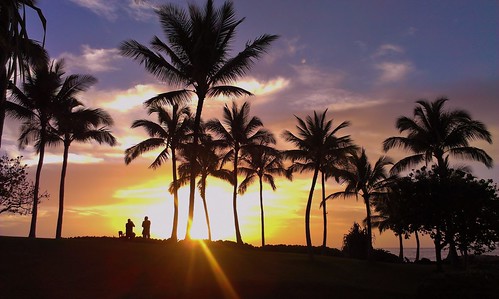 travel vacation tree beach hawaii dusk lagoon palm koolina htc
