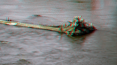 tree river stereoscopic stereophoto 3d spring anaglyph anaglyphs redcyan 3dimages 3dphoto 3dphotos 3dpictures stereopicture