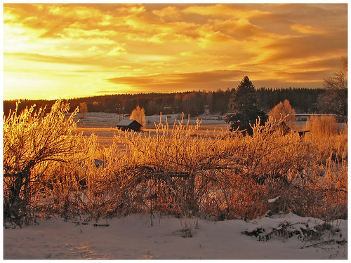 winter snow sunshine sunrise sweden sverige skellefteå anderstorp skelleftea skellafteå