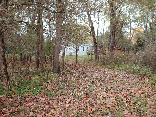trees ohio home nature woods october wildlife malvern trailer 2007 newcasa
