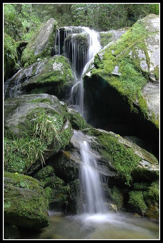 newzealand waterfall moss photofaceoffwinner photofaceoffplatinum pfogold pfoplatinum