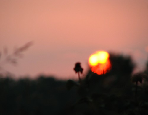 light sunset abstract blur canon fire glow powershot s3 s3is powershots3
