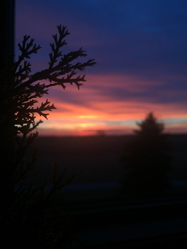 rmspradlin silhouette contrast color morning sunrise