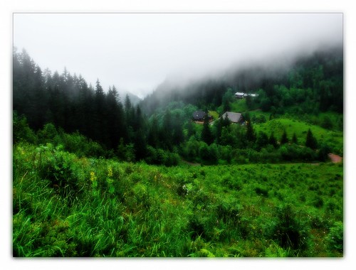 rain fog trekking germany deutschland nebel baden schwarzwald blackforest wandern regen wanderung westweg crossingtheblackforest