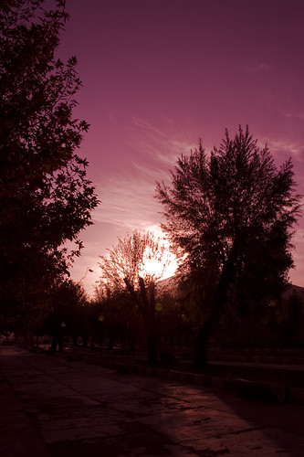 red cloud tree sunrise canon iran violet bane kurdistan redness 400d baneh کردستان