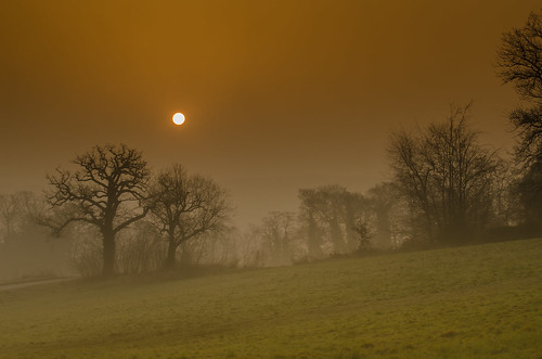 sheffield bannerdale bannerdalecentre sunrise mist morning silhouette tree trees