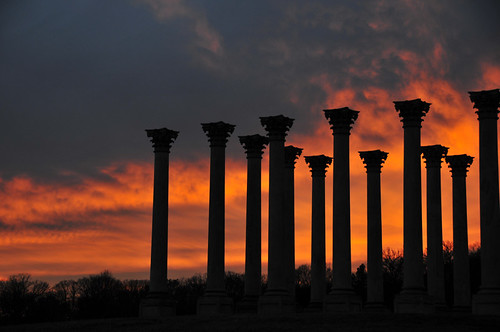 sunset silhouette dc dusk column nationalarboretum capitolcolumns