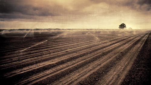 road light sky bw brown white black tree texture nature water field sepia clouds landscape path farm horizon perspective dramatic dirt chapeau land themoulinrouge vision100