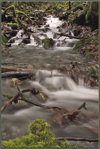 forest river geotagged stream falls fraser bridalveil chilliwack janusz leszczynski flickrsbest fineartphotos ysplix flickrphotoaward geo:lat=49191633 geo:lon=121732464