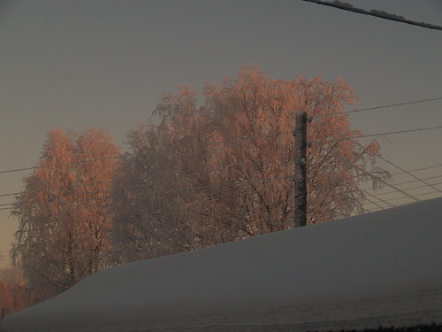 pink winter light sunset snow cold ice russia elbaza komirepublic