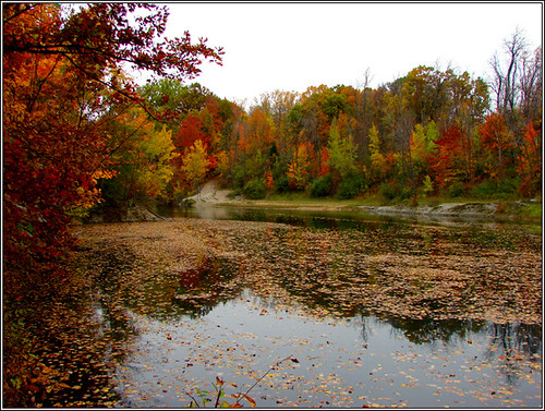 autumn trees lake color fall water leaves pond sandstone seasons michigan fallcolors ledges grandledge coloredleaves colortour views100