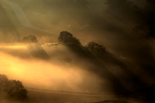 road trees sunlight fog sunrise shadows hill hdr longshadows