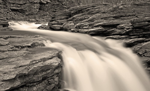 bw monochrome sepia waterfall falls cascade roaringbrook