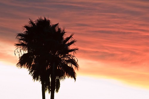sunset arizona d50 palmtree greenvalley 70300mmf456g
