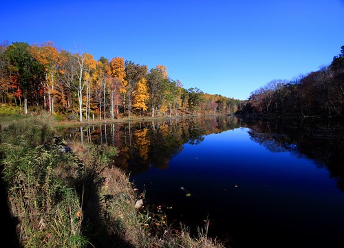 autumn color reflection fall pond connecticut newengland foliage onlyyourbestshots