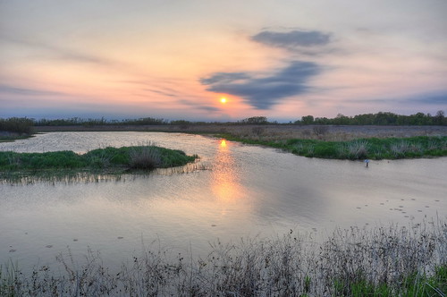 sunset birds landscape nikon ottawa marsh birdwatching hdr warblers photomatix hdrsunset mageemarsh nikond90