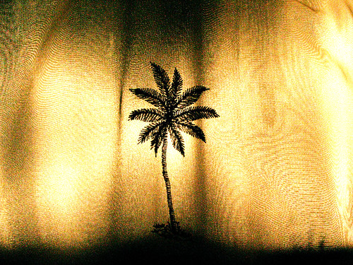 sun tree shower curtain palm