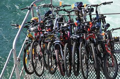 Bicycles for Rottnest Island