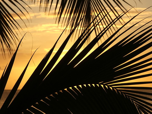 sunsets beaches caribbean tobago naturesfinest cfg