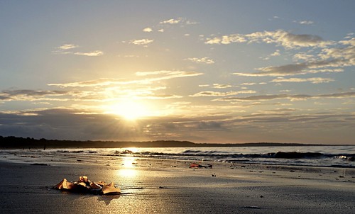 nikon shona74 shona2 cold northsea ocean water waves golf goldenhour kelp seaweed sand sun scotland longniddry eastlothian beach sunset