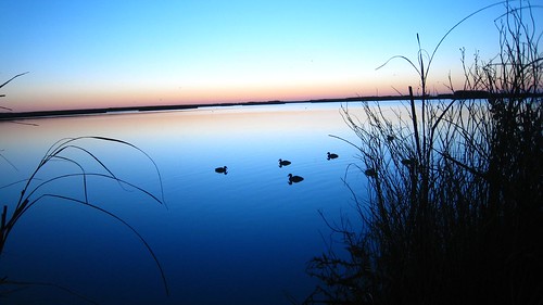 morning sunrise catchycolors duck glow texas marsh decoy duckdecoy top20texas bestoftexas