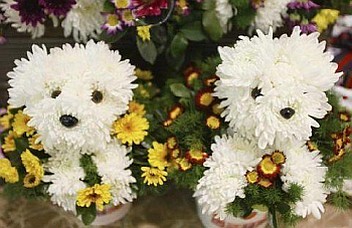 Puppy Flowers