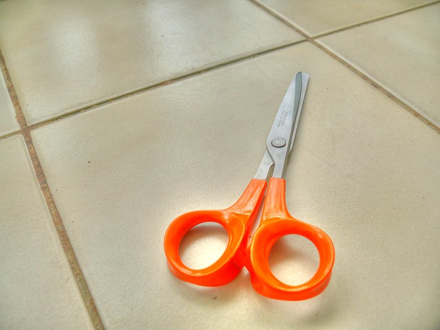 095/366 - Scissors in HDR