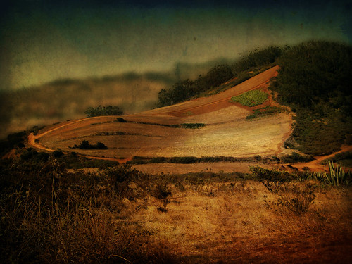 landscape hill paisaje colina dreamcatcher artisticedition stealingshadows amongstthethorns roseexcellence