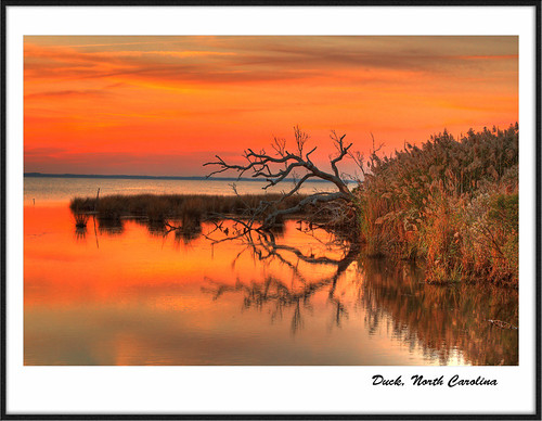 sunset red sea tree beach grass duck northcarolina frame obx holidaysvacanzeurlaub