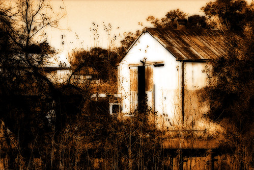old trees urban building abandoned sepia photoshop louisiana lafayette rusty 2008 orton corrugatedmetal 3721 anawesomeshot