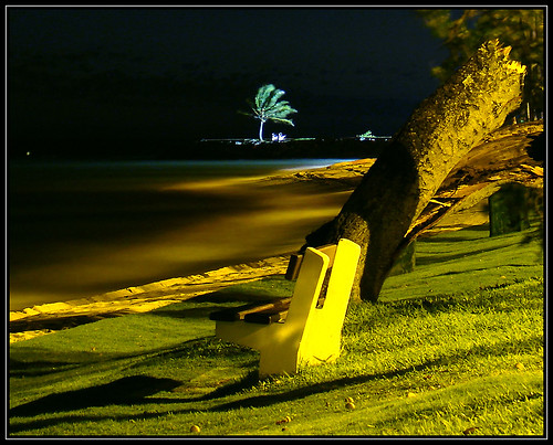 trees beach nightshot lagoon arbres nouvellecalédonie newcaledonia noumea lagon ansevata photodenuit betterthangood