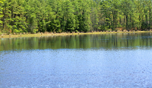 trees usa lake nature water america newjersey nj crystallake supershot isawyoufirst scottnj