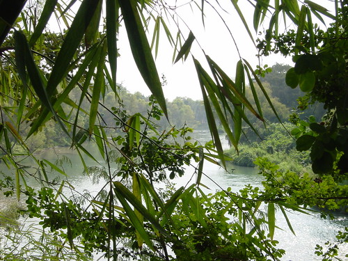 paisajes water leaves méxico río river landscape mexico hojas agua creativecommons panorámica sanluispotosi sanluispotosí huastecapotosina