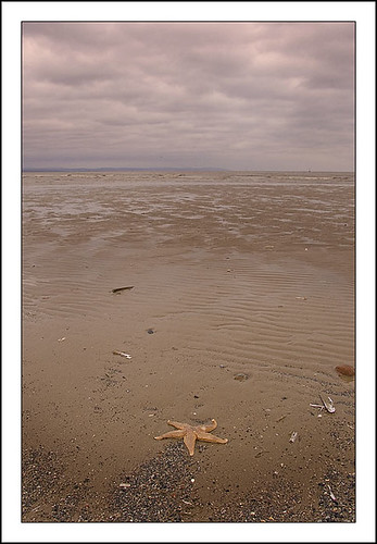 morning sea beach water clouds sand starfish crosby chrisrustage