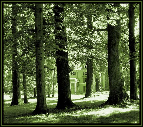 trees green grass delaware winterthur blueribbonwinner 10millionphotos top30green