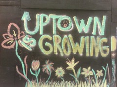 Uptown REALLY is Growing!