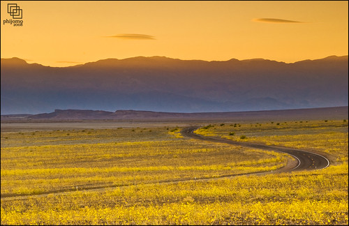 california sunset nature outdoors desert dusk scenic fields deathvalley wildflowers badwater deathvalleynationalpark d80 nikond80 platinumheartaward