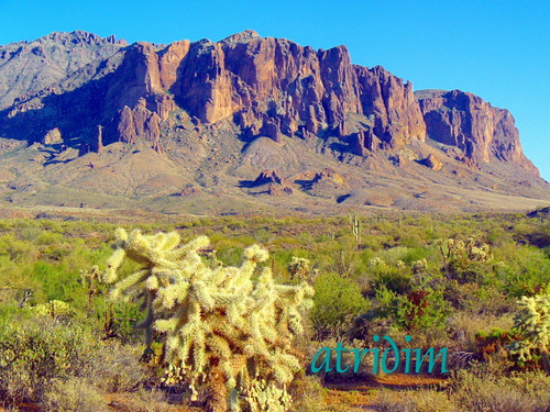 arizona cactus mountains cacti photo flickr desert cholla apachetrail superstitionwilderness superstitionmountain tontonationalforest atridim