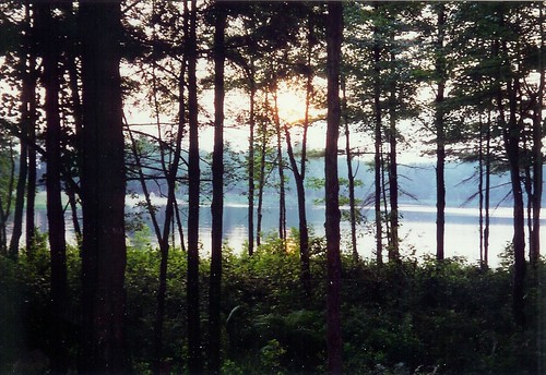 sunset summer lake forest dusk massachussetts dennison