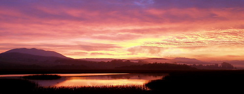 inverness california sunrise motelinverness pano marin west county motel pointreyes