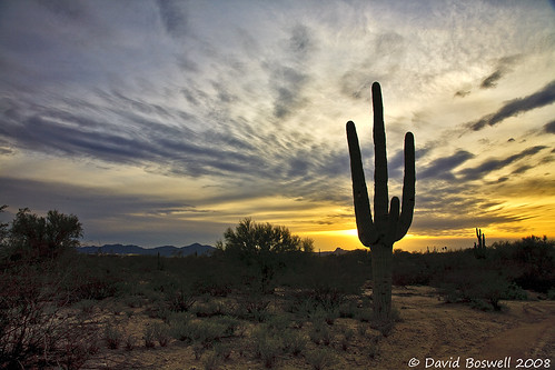 arizona cactus southwest clouds skies tucson sunsets deserts sonorandesert