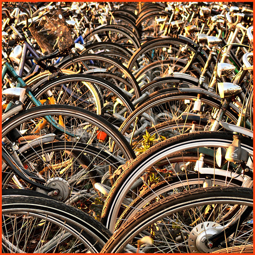 netherlands bike bicycle square geotagged lumix traffic bikes panasonic bicycles explore galleries barbara venlo fietsen limburg fiets fietser 500x500 100faves 50faves frizztext dmcfz50 colorphotoaward ysplix 240x240 20080214 winner500 photopolisurbanartisticimages