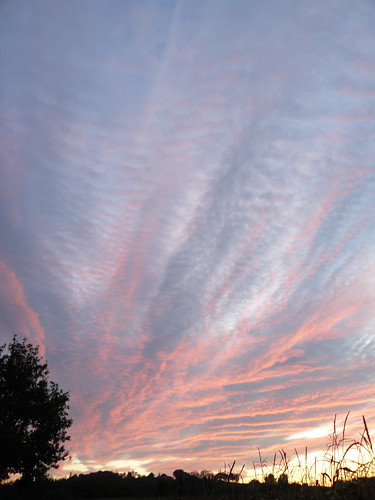 sunset sky cloud france southwest ciel 40 nuages coucherdesoleil landes sudouest aquitaine cagnotte