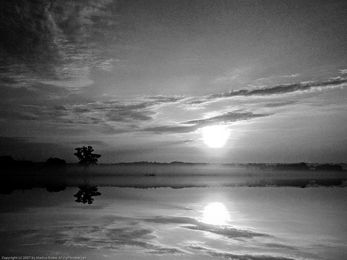 light sky bw sun reflection tree art dark nokia grain explore lightroom n73 artlibre highestposition155onwednesdayoctober242007