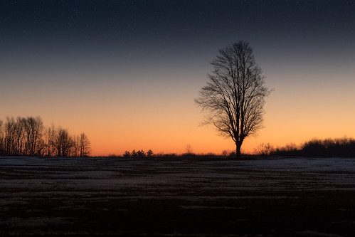 sunrise tree firstlight early cold winter snow michigan midmichigan midland clare loomis canoneos5dmarkiv