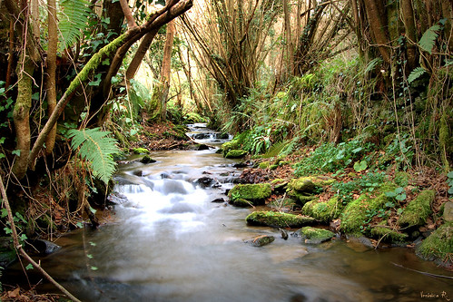 naturaleza green rio nikon asturias tineo gmt xanas xana veronicar travelplanet distinguishedlongexposure
