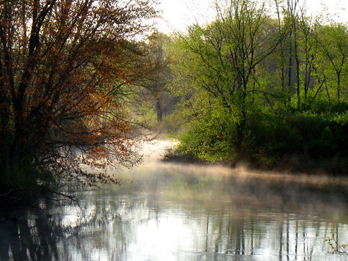 morning mist cold dawn photo spring michigan chippewariver isabellacounty deerfieldpark isabellacountyparksandrecreation