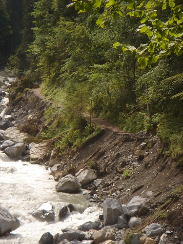 Trail Cut Off