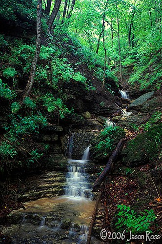 usa tree forest waterfall illinois woods stream canyon gorge cascade winnebagocounty kishwaukeegorge kishwaukeegorgeforestpreserve wcfpd