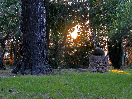 autumn light sunset italy verde green nature alberi gold lights italia tramonto natura campagna sicily luci sole autunno luce sicilia siracusa vegetazione sortino
